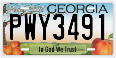 GA license plate PWY3491