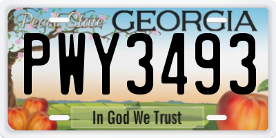 GA license plate PWY3493