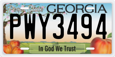 GA license plate PWY3494