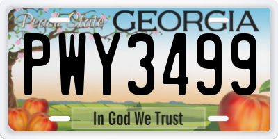 GA license plate PWY3499