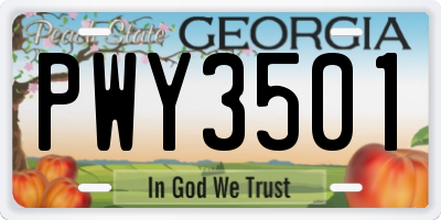 GA license plate PWY3501