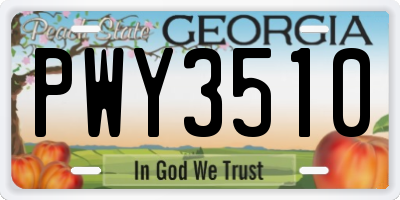 GA license plate PWY3510