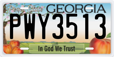GA license plate PWY3513