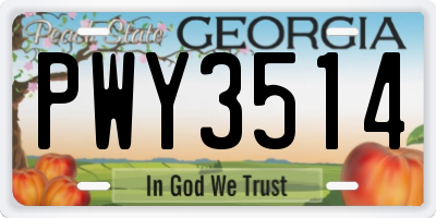 GA license plate PWY3514