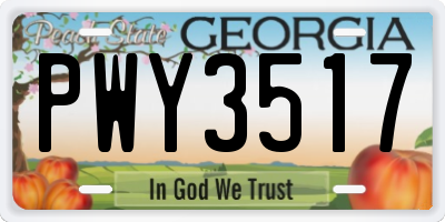 GA license plate PWY3517