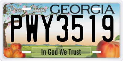 GA license plate PWY3519