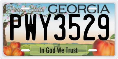 GA license plate PWY3529