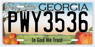 GA license plate PWY3536