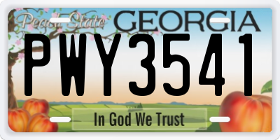 GA license plate PWY3541