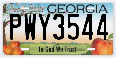 GA license plate PWY3544