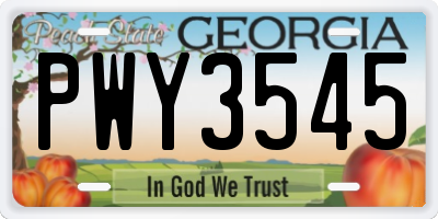 GA license plate PWY3545