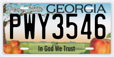GA license plate PWY3546
