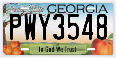 GA license plate PWY3548