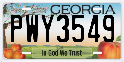 GA license plate PWY3549