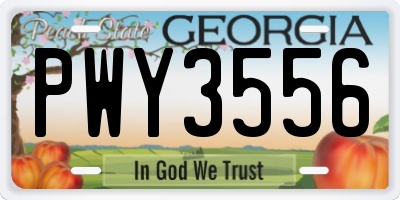 GA license plate PWY3556