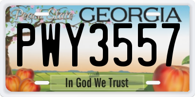 GA license plate PWY3557