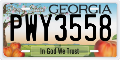GA license plate PWY3558