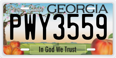 GA license plate PWY3559