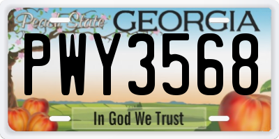 GA license plate PWY3568