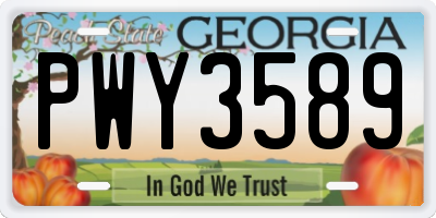 GA license plate PWY3589