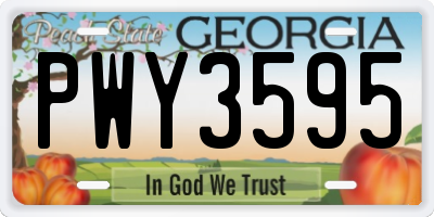 GA license plate PWY3595