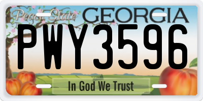 GA license plate PWY3596