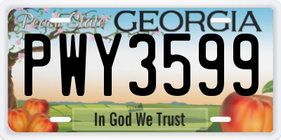 GA license plate PWY3599