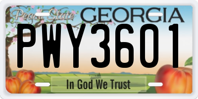 GA license plate PWY3601