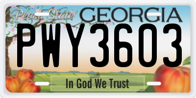GA license plate PWY3603