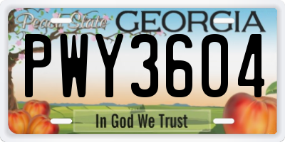 GA license plate PWY3604