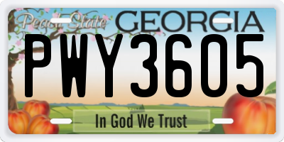 GA license plate PWY3605