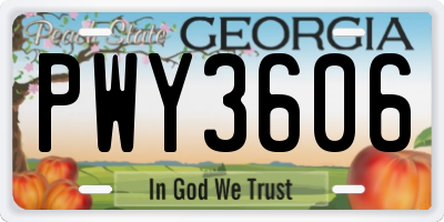 GA license plate PWY3606