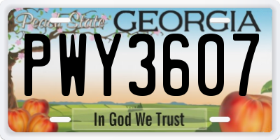 GA license plate PWY3607
