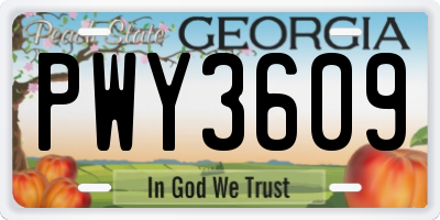 GA license plate PWY3609
