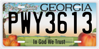 GA license plate PWY3613
