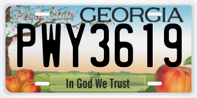 GA license plate PWY3619