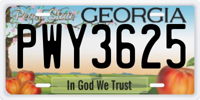 GA license plate PWY3625