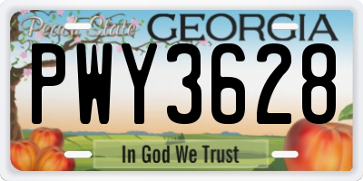 GA license plate PWY3628