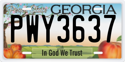 GA license plate PWY3637