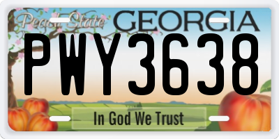 GA license plate PWY3638