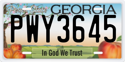 GA license plate PWY3645