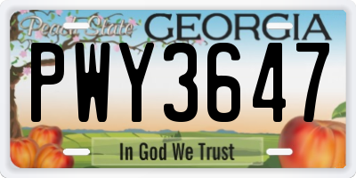 GA license plate PWY3647