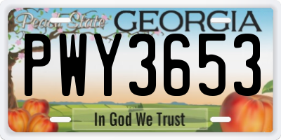GA license plate PWY3653