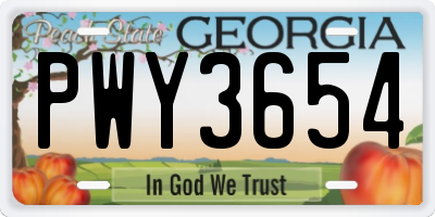 GA license plate PWY3654