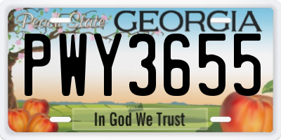 GA license plate PWY3655