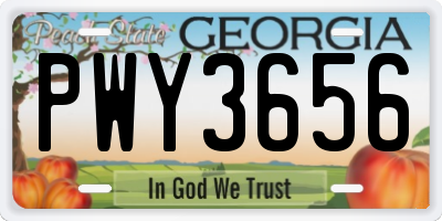 GA license plate PWY3656