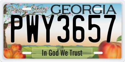 GA license plate PWY3657