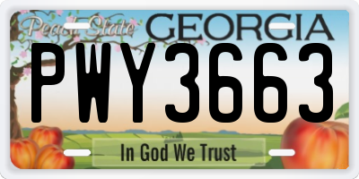GA license plate PWY3663