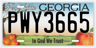 GA license plate PWY3665