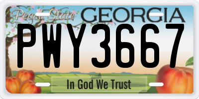 GA license plate PWY3667